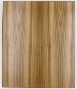 Cabinet Door from Tharp Custom Cabinetry - "Lodo" Style